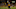 PITTSBURGH, PA – NOVEMBER 16: Antonio Brown PITTSBURGH, PA – NOVEMBER 16: Antonio Brown