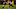 PITTSBURGH, PA – DECEMBER 30: Jaylen Samuels #38 of the Pittsburgh Steelers carries the ball against Nick Vigil #59 of the Cincinnati Bengals in the second half during the game at Heinz Field on December 30, 2018, in Pittsburgh, Pennsylvania. (Photo by Joe Sargent/Getty Images) PITTSBURGH, PA – DECEMBER 30: Jaylen Samuels #38 of the Pittsburgh Steelers carries the ball against Nick Vigil #59 of the Cincinnati Bengals in the second half during the game at Heinz Field on December 30, 2018, in Pittsburgh, Pennsylvania. (Photo by Joe Sargent/Getty Images)