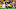 PITTSBURGH, PA – AUGUST 17: Diontae Johnson #18 of the Pittsburgh Steelers celebrates with Devlin Hodges #6 after a 24 yard touchdown reception ain the fourth quarter during a preseason game against the Kansas City Chiefs at Heinz Field on August 17, 2019 in Pittsburgh, Pennsylvania. (Photo by Justin Berl/Getty Images) PITTSBURGH, PA – AUGUST 17: Diontae Johnson #18 of the Pittsburgh Steelers celebrates with Devlin Hodges #6 after a 24 yard touchdown reception ain the fourth quarter during a preseason game against the Kansas City Chiefs at Heinz Field on August 17, 2019 in Pittsburgh, Pennsylvania. (Photo by Justin Berl/Getty Images)