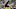 Steelers Steelers
