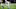 HOUSTON, TX – NOVEMBER 21: Eric Ebron #85 of the Indianapolis Colts in action during the game against the Houston Texans at NRG Stadium on November 21, 2019 in Houston, Texas. The Texans defeated the Colts 20-17. (Photo by Rob Leiter/Getty Images) HOUSTON, TX – NOVEMBER 21: Eric Ebron #85 of the Indianapolis Colts in action during the game against the Houston Texans at NRG Stadium on November 21, 2019 in Houston, Texas. The Texans defeated the Colts 20-17. (Photo by Rob Leiter/Getty Images)
