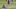 Pittsburgh Steelers Pittsburgh Steelers