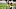 Pittsburgh Steelers Pittsburgh Steelers