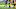 Pittsburgh Steelers Pittsburgh Steelers