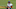 Fantasy Football Fantasy Football