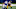 Pittsburgh Steelers Pittsburgh Steelers