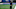 Pittsburgh Steelers Pittsburgh Steelers