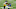 Steelers Steelers