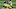 Pittsburgh Steelers Pittsburgh Steelers