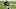 Pittsburgh Steelers Pittsburgh Steelers