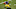 Pittsburgh Steelers Pittsburgh Steelers