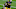 Chase Claypool #11 of the Pittsburgh Steelers (Photo by Justin K. Aller/Getty Images) Chase Claypool #11 of the Pittsburgh Steelers (Photo by Justin K. Aller/Getty Images)