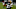 Pittsburgh Steelers Pittsburgh Steelers