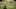 CINCINNATI, OH – DECEMBER 21: A Pittsburgh Steelers player watches from the sidelines as the Steelers play. (Photo by Jamie Sabau/Getty Images) *** Local Caption *** CINCINNATI, OH – DECEMBER 21: A Pittsburgh Steelers player watches from the sidelines as the Steelers play. (Photo by Jamie Sabau/Getty Images) *** Local Caption ***