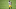 Steelers Steelers