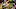 CHICAGO, ILLINOIS – JANUARY 03: The offense of the Green Bay Packers readies for the snap. (Photo by Jonathan Daniel/Getty Images) CHICAGO, ILLINOIS – JANUARY 03: The offense of the Green Bay Packers readies for the snap. (Photo by Jonathan Daniel/Getty Images)