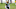 Aaron Rodgers #12 of the Green Bay Packers. (Photo by Dylan Buell/Getty Images) Aaron Rodgers #12 of the Green Bay Packers. (Photo by Dylan Buell/Getty Images)