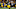 Steelers Steelers
