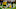 Steelers Steelers