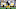 Myles Jack #51 of the Pittsburgh Steelers in action during the game against the New England Patriots. (Photo by Joe Sargent/Getty Images) Myles Jack #51 of the Pittsburgh Steelers in action during the game against the New England Patriots. (Photo by Joe Sargent/Getty Images)
