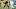 Steelers Steelers