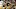 Pittsburgh Steelers Pittsburgh Steelers