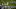 Pittsburgh Steelers Pittsburgh Steelers
