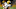 Steelers Steelers