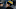 Pittsburgh Steelers Pittsburgh Steelers