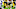 Pittsburgh Steelers Pittsburgh Steelers