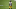Steelers Steelers