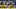 Pittsburgh Steelers Pittsburgh Steelers