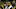 Troy Polamalu, Pittsburgh Steelers Troy Polamalu, Pittsburgh Steelers