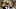 Deshea Townsend, Pittsburgh Steelers Deshea Townsend, Pittsburgh Steelers