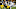 Steelers Steelers