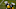 Steelers Steelers