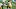 Steelers Steelers