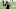 Pittsburgh Steelers Pittsburgh Steelers