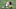 Steelers Steelers
