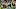 Steelers Steelers