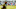 Pittsburgh Steelers Pittsburgh Steelers