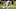 Los Angeles Chargers wide receiver Keenan Allen (13) runs after a catch against the Pittsburgh Steelers. Los Angeles Chargers wide receiver Keenan Allen (13) runs after a catch against the Pittsburgh Steelers.