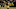 Steelers Steelers