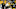 Steelers Steelers