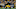 Pittsburgh Steelers strong safety Terrell Edmunds (34) Mandatory Credit: Kirby Lee-USA TODAY Sports Pittsburgh Steelers strong safety Terrell Edmunds (34) Mandatory Credit: Kirby Lee-USA TODAY Sports