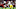 Pittsburgh Steelers Pittsburgh Steelers