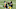 Pittsburgh Steelers Pittsburgh Steelers