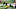Pittsburgh Steelers Pittsburgh Steelers