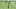 Pittsburgh Steelers Pittsburgh Steelers