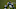 Pittsburgh Steelers Pittsburgh Steelers